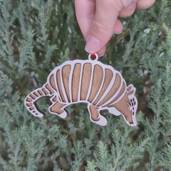 Armadillo Christmas Ornament, Texas state animal ornaments