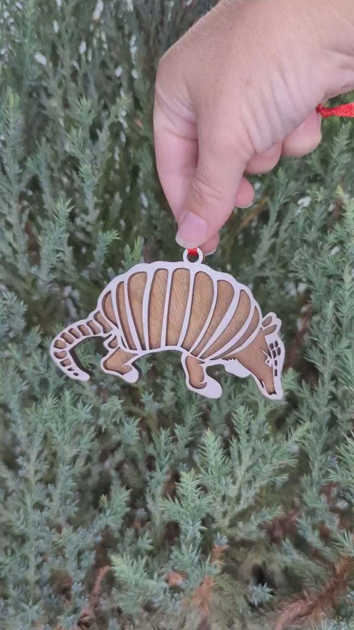 Armadillo Christmas Ornament, Texas state animal ornaments